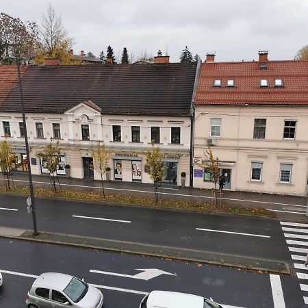 Apartment Trzaska With Free Parking Любляна Экстерьер фото